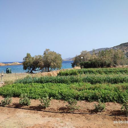 White Lotus Seaside Studio Κίνι Εξωτερικό φωτογραφία