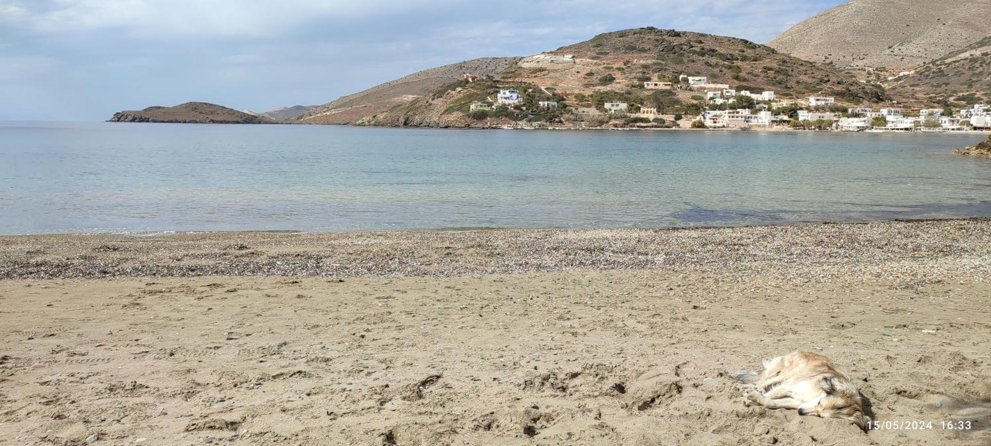 White Lotus Seaside Studio Κίνι Εξωτερικό φωτογραφία