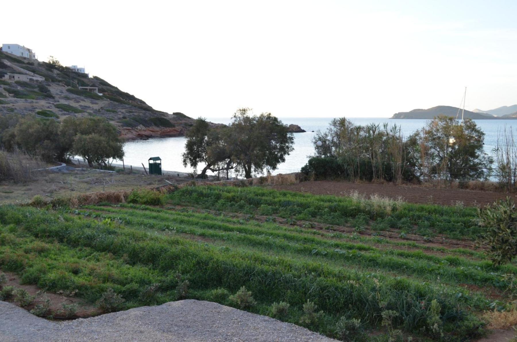 White Lotus Seaside Studio Κίνι Εξωτερικό φωτογραφία
