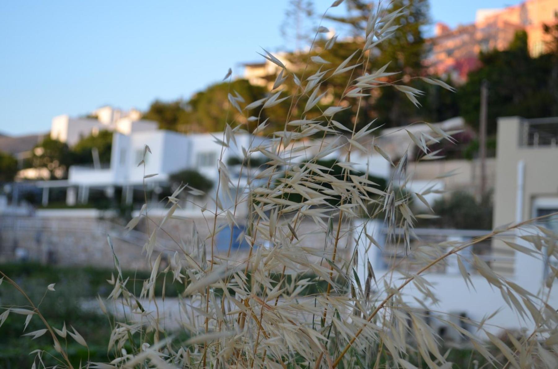 White Lotus Seaside Studio Κίνι Εξωτερικό φωτογραφία