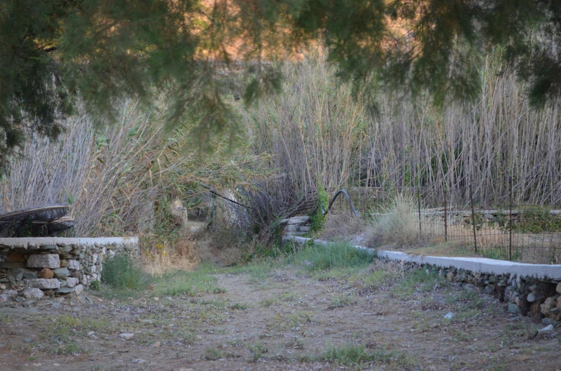 White Lotus Seaside Studio Κίνι Εξωτερικό φωτογραφία