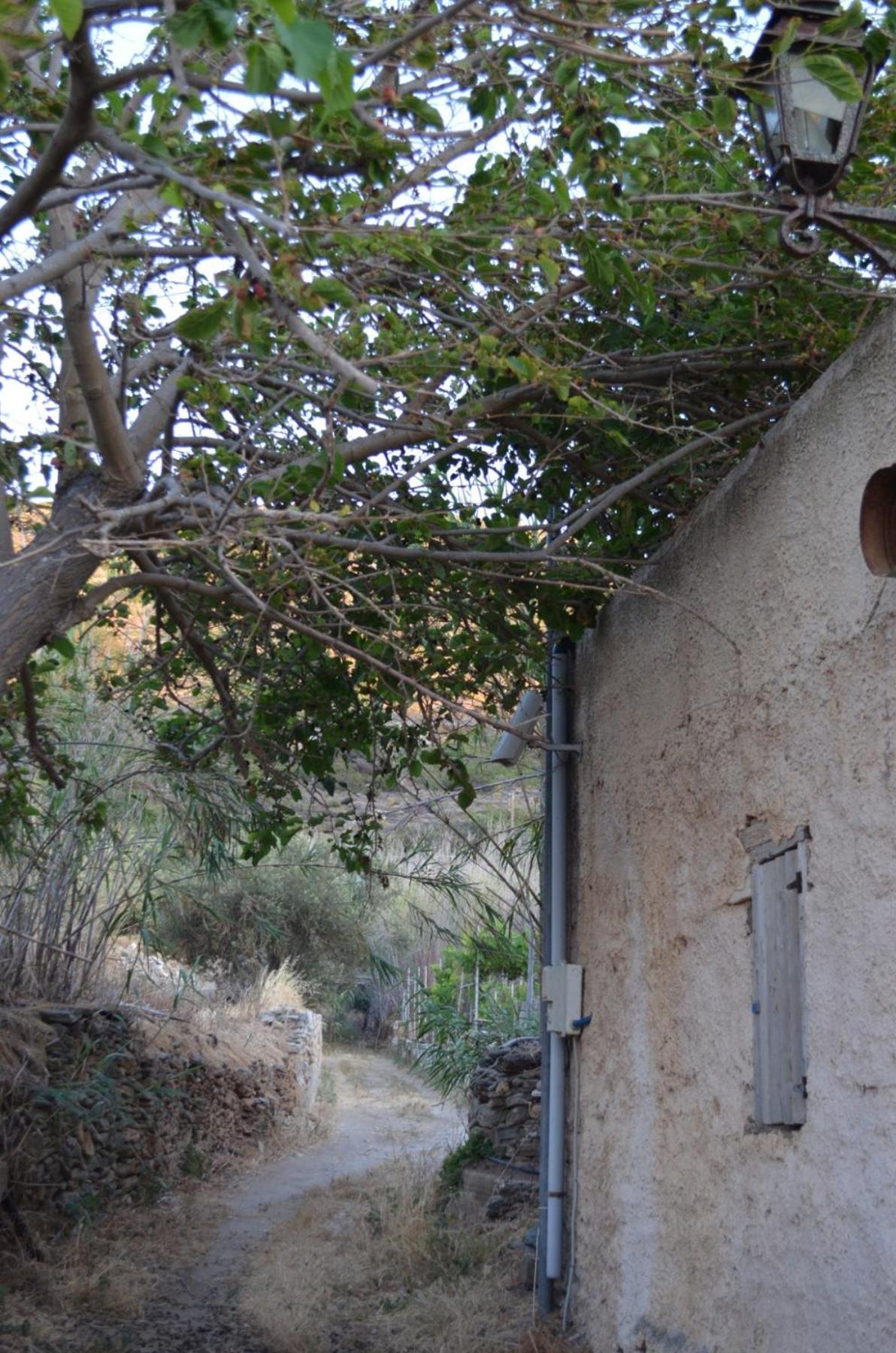 White Lotus Seaside Studio Κίνι Εξωτερικό φωτογραφία