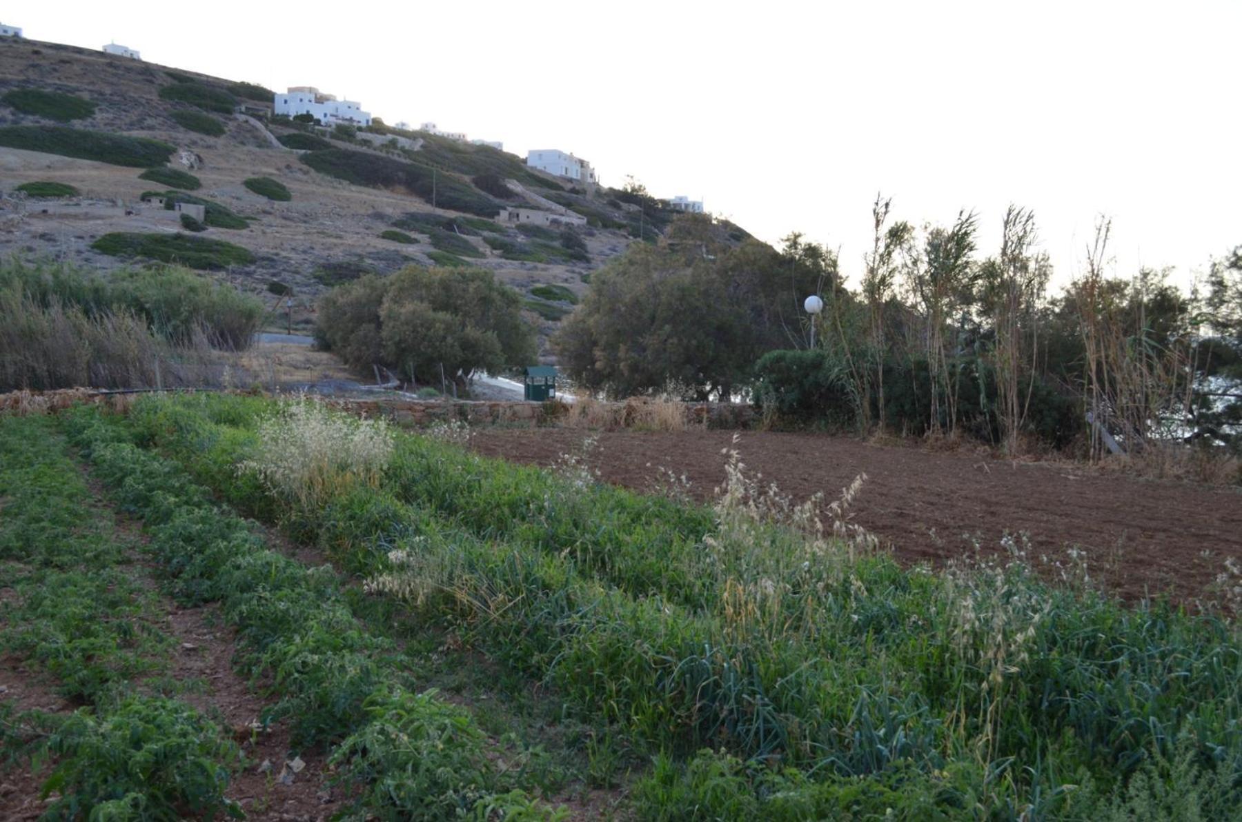 White Lotus Seaside Studio Κίνι Εξωτερικό φωτογραφία