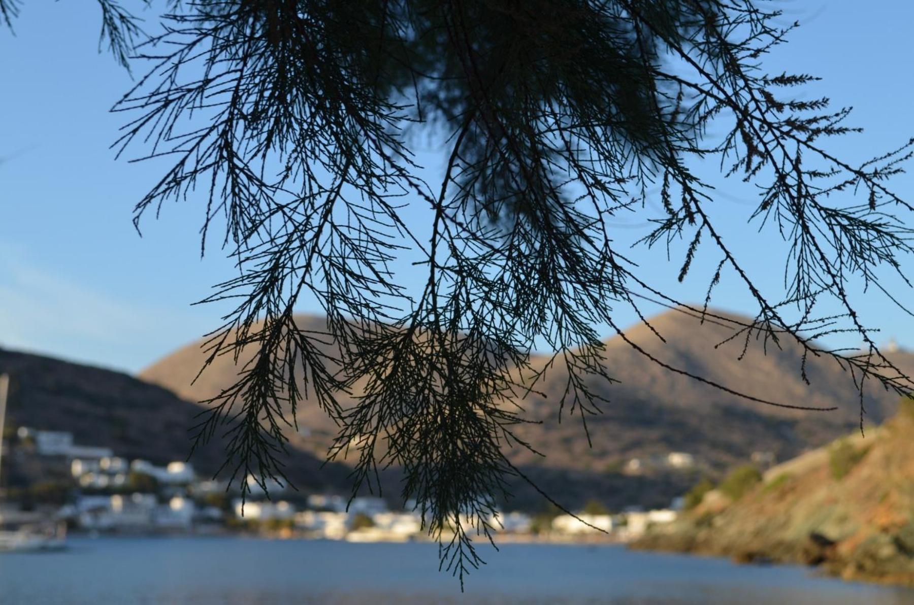 White Lotus Seaside Studio Κίνι Εξωτερικό φωτογραφία